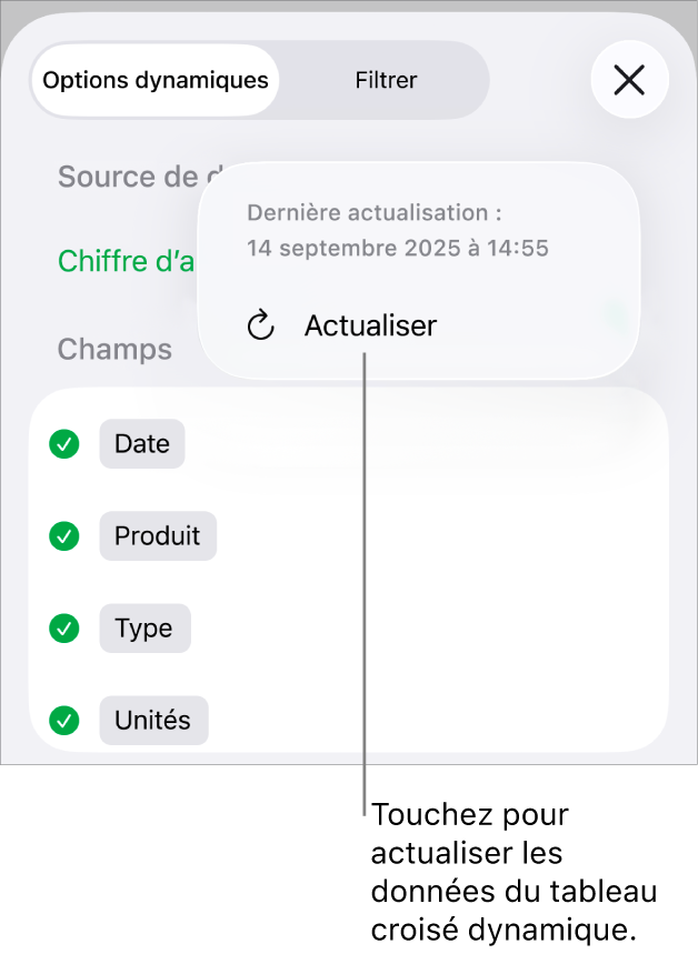 Menu Options dynamiques affichant l’option d’actualisation du tableau croisé dynamique.