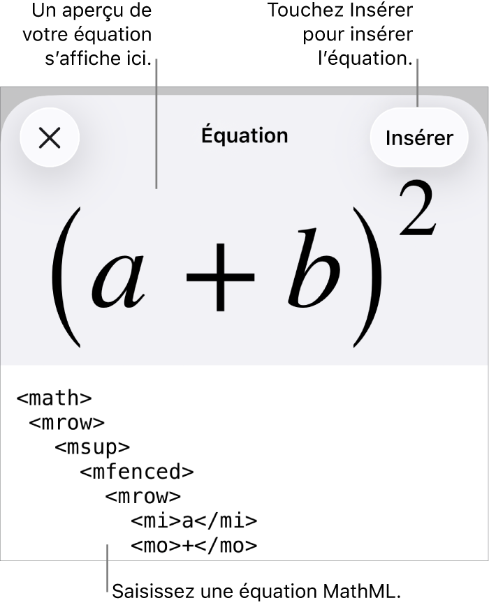 Zone de dialogue Équation, affichant une équation composée à l’aide des commandes MathML, et un aperçu de la formule au-dessus.