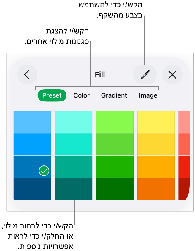 אפשרויות מילוי בכרטיסייה ״סגנון״ של הכפתור ״עיצוב״.