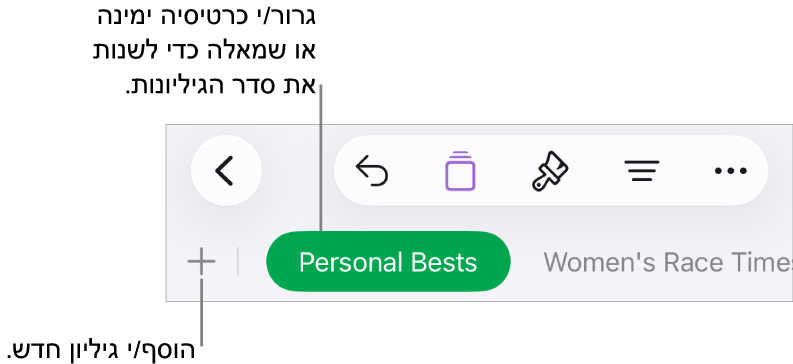 סרגל הלשוניות המאפשר הוספת גיליון חדש, ניווט, שינוי הסדר וארגון מחדש של הגיליונות.