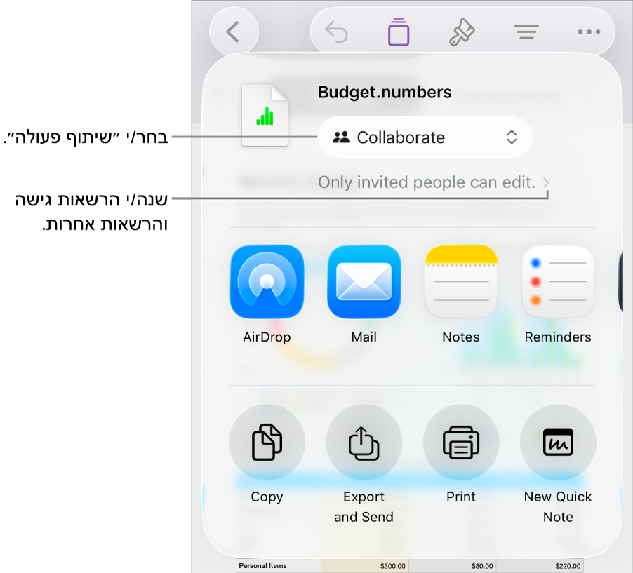 תפריט השיתוף כאשר האפשרות ״שיתוף פעולה״ נבחרת בחלק העליון ומתחתיה הגדרות הגישה וההרשאות.