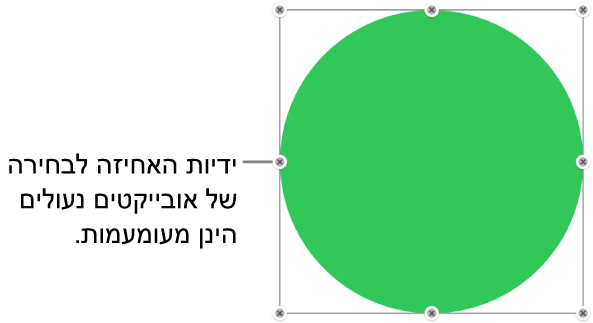 אובייקט נעול עם ידיות בחירה מעומעמות.