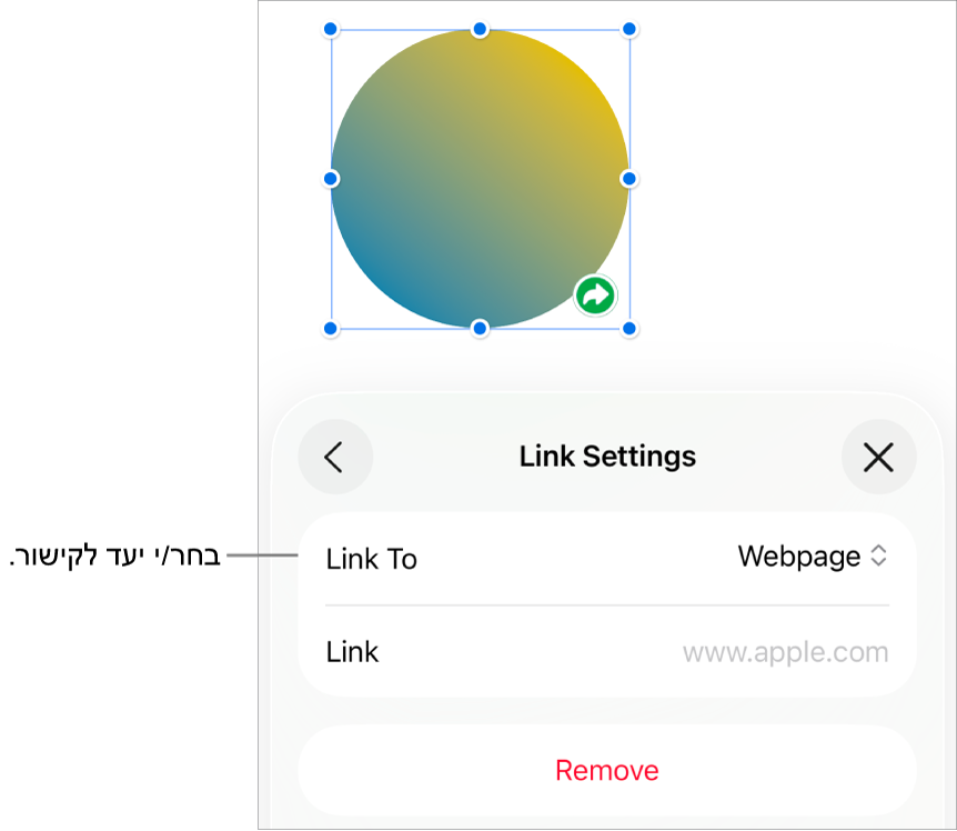 כלי הבקרה של ״אפשרויות קישור״ כאשר האפשרות ״עמוד אינטרנט״ נבחרת ובחלק התחתון מוצג הכפתור ״הסר״.