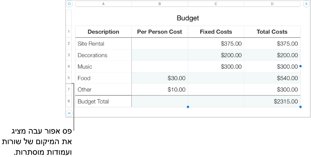 פס אפור עבה שמציג את מיקומן של שורות ועמודות נסתרות