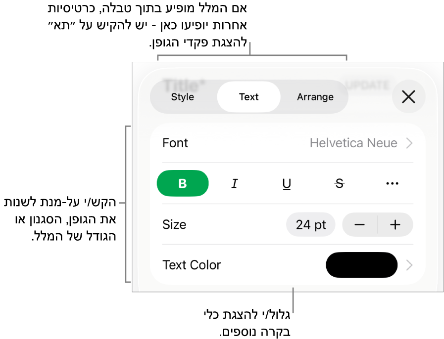 כלי בקרה של מלל בתפריט ״עיצוב״ להגדרת סגנונות, גופן, גודל וצבע עבור פיסקאות ותווים.