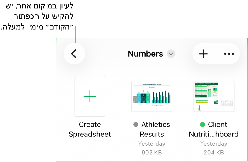 תצוגת העיון של מנהל המסמכים עם קישור למיקום בפינה הימנית העליונה ומתחתיו שדה חיפוש. בפינה השמאלית העליונה רואים את הכפתור ״הוסף גיליון עבודה״ ואת הכפתור ״עוד״. בתחתית המסך ישנם הכפתורים ״אחרונים״ ו״עיון״.