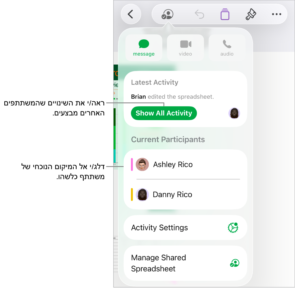 תפריט ״שיתוף פעולה״ שרואים בו משתתפים פעילים כעת.