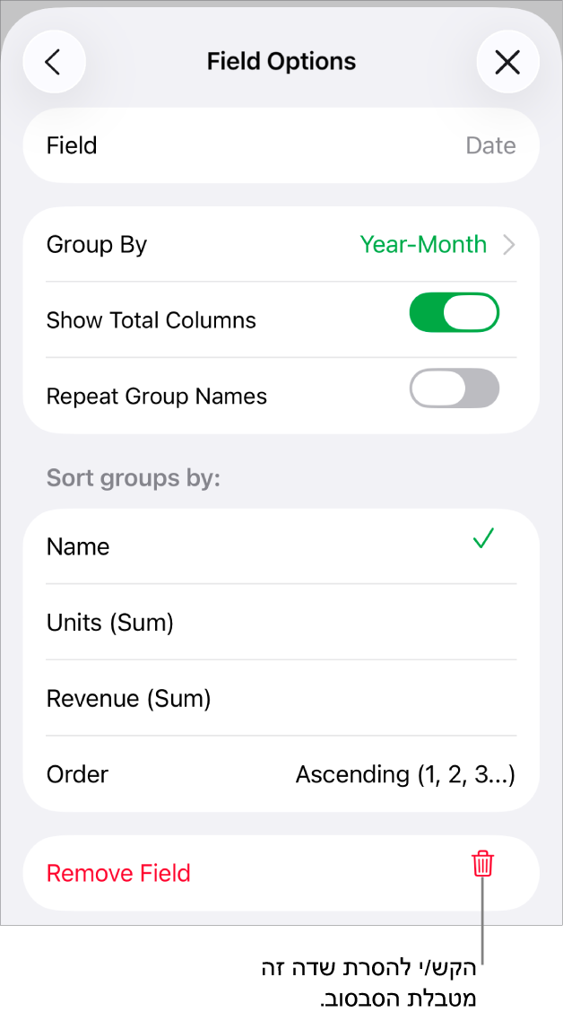 התפריט ״אפשרויות שדה״, שבו מוצגים פקדים לקיבוץ ומיון של נתונים, וכן האפשרות להסיר שדה.