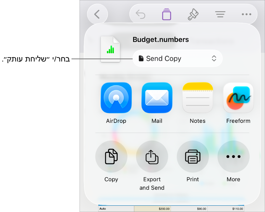 תפריט השיתוף כאשר האפשרות ״שלח/י עותק״ נבחרת בחלק העליון.