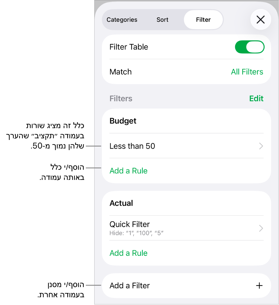 כלי בקרה להוספת כללי סינון חדשים או לעריכת כללים קיימים.