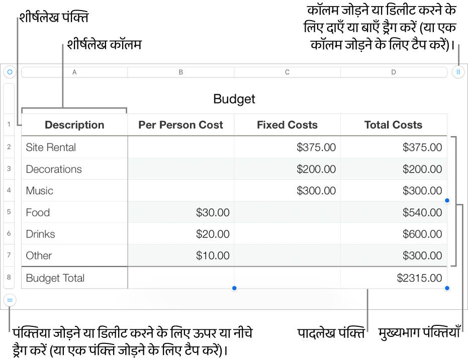 हेडर , मुख्य भाग, और फ़ुटर पंक्तियाँ और कॉलम, और पंक्तियाँ या कॉलम जोड़ने या डिलीट करने के हैंडल दिखाता टेबल।