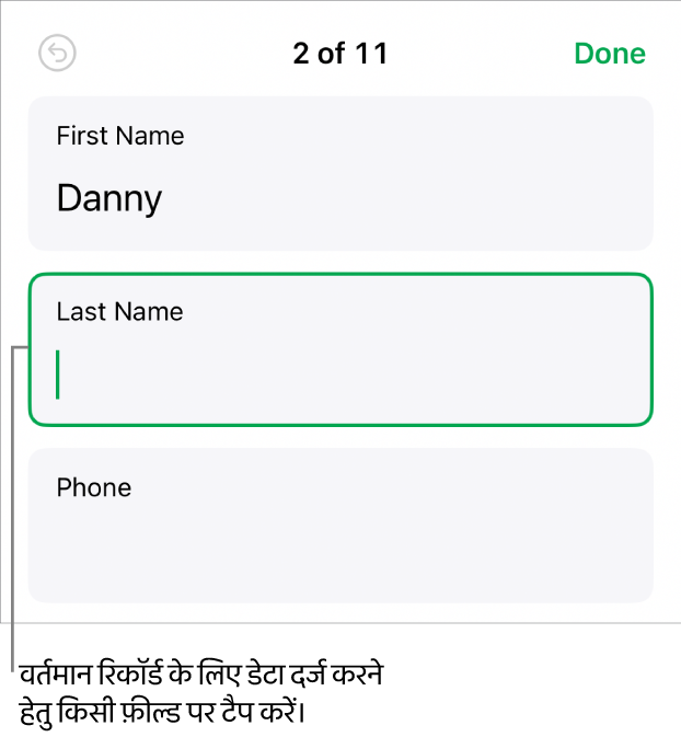 सम्मिलन बिंदु के साथ सक्रिय फ़ील्ड दिखाता हुआ फ़ॉर्म में मौजूद रिकॉर्ड।