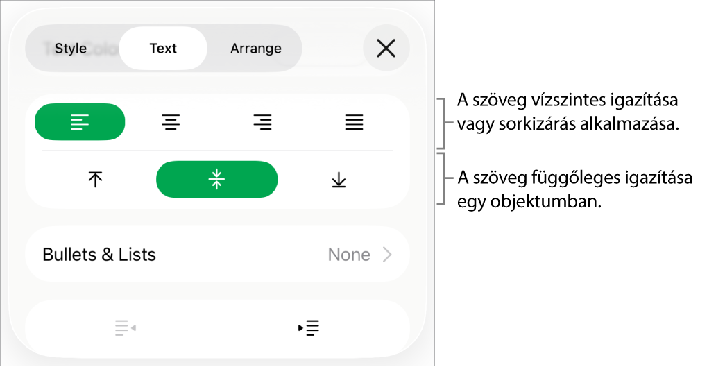 A Formátumvizsgáló Elrendezés szakasza a szövegigazítási és térközbeállítási gombokat jelölő feliratokkal.