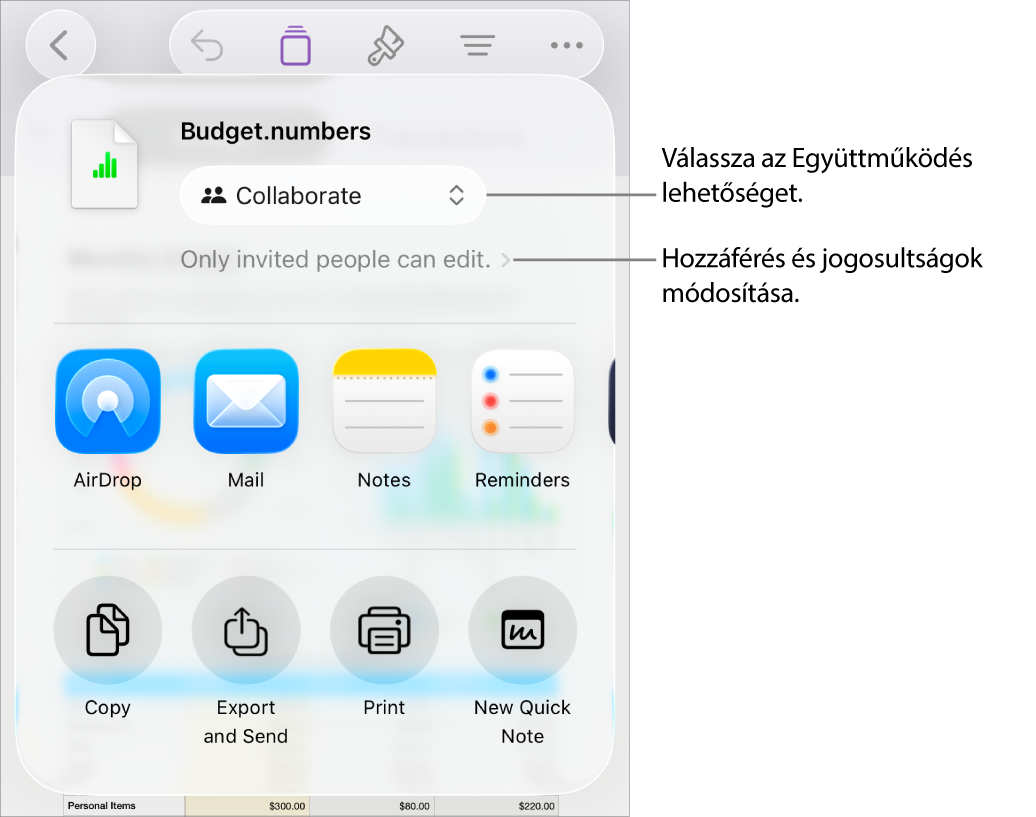 A Megosztás menü a felül kijelölt Együttműködés lehetőséggel, és az alatt látható hozzáférési és jogosultsági beállításokkal.