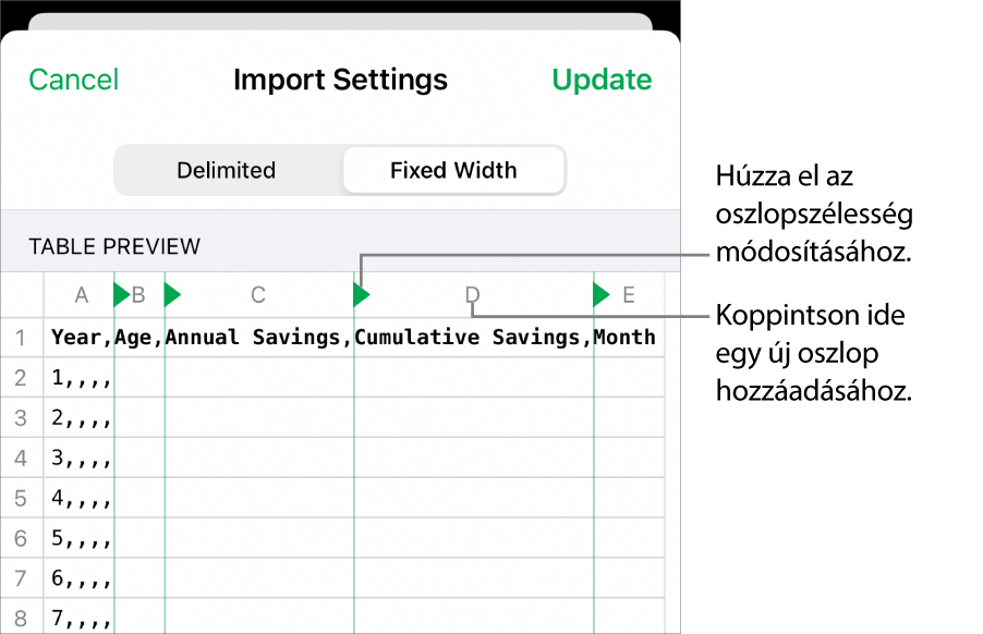 A rögzített szélességű szövegfájlok importálási beállításai.