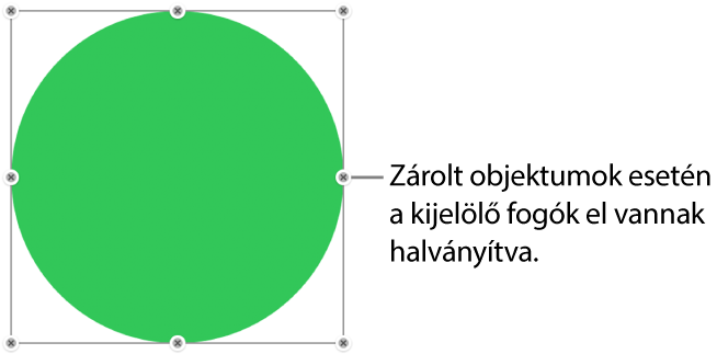 Zárolt objektum elhalványított kijelölőfogantyúkkal.