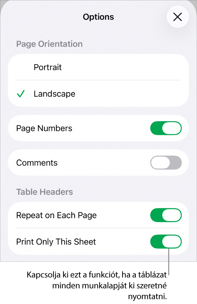 Nyomtatási beállítások az oldaltájolás kiválasztásához, az oldalszámok és fejlécek megjelenítéséhez, valamint az oldalméret és a nyomtatni kívánt oldalak kiválasztásához.