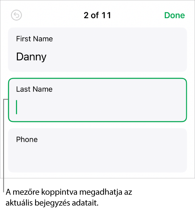 Egy űrlap bejegyzése az aktív mezővel és a beszúrási ponttal.