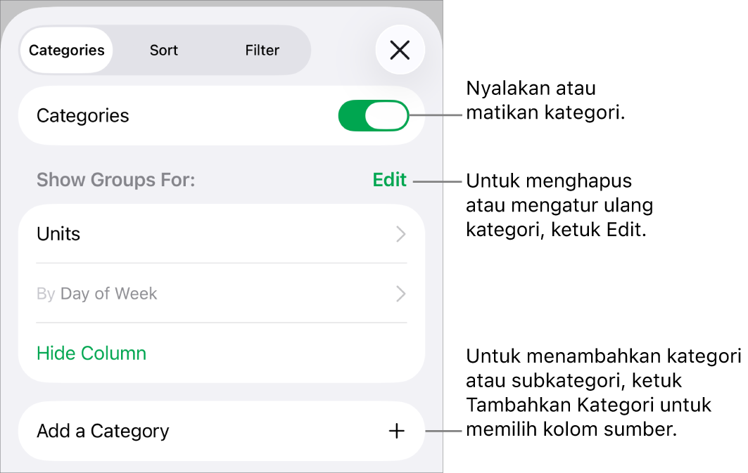 Menu Kategori untuk iPhone dengan pilihan untuk mematikan kategori, menghapus kategori, mengelompokkan ulang data, menyembunyikan kolom sumber, dan menambah kategori.