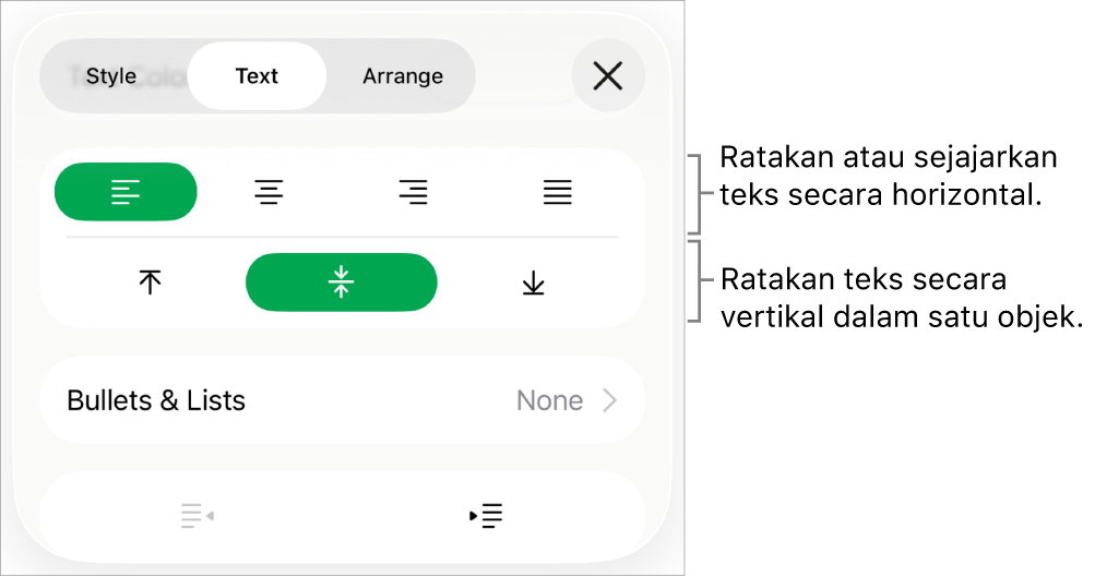 Bagian Tata Letak pada Inspektur format dengan keterangan pada tombol perataan teks dan spasi.