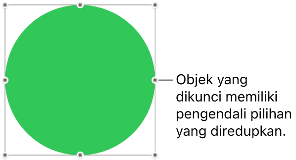 Sebuah objek yang terkunci dengan pengendali pilihan yang diredupkan.