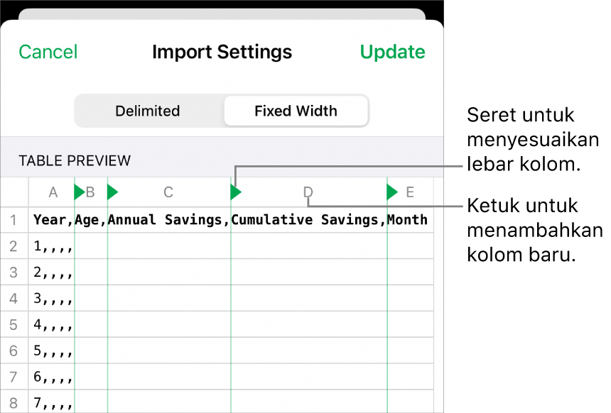 Pengaturan impor untuk file teks lebar tetap.