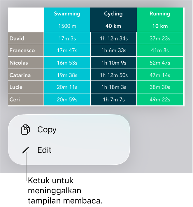 Tabel dipilih, dan di bawahnya terdapat menu dengan tombol Salin dan Edit.