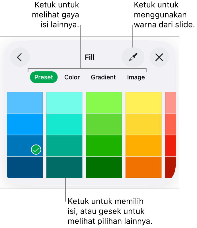 Pilihan Isi di tab Gaya pada tombol Format.