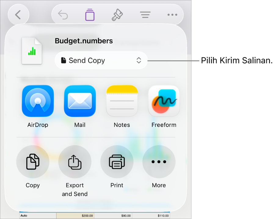 Menu Bagikan dengan Kirim Salinan dipilih di bagian atas.