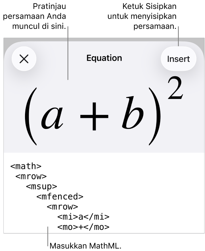 Dialog Persamaan, menampilkan sebuah persamaan ditulis menggunakan perintah MathML, dan pratinjau formula di atas.