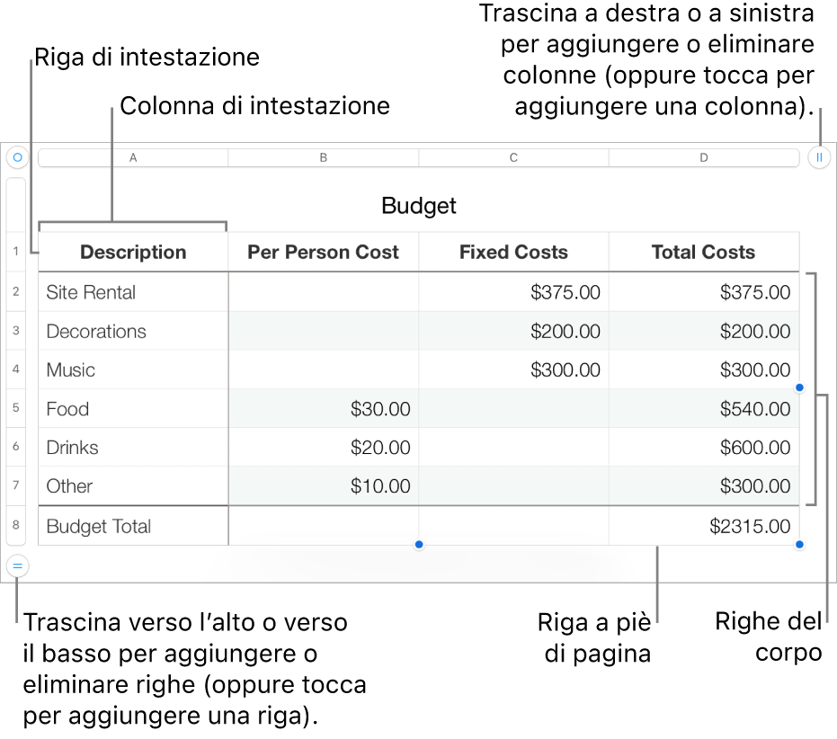 Tabella con righe e colonne di intestazione, corpo e piè di pagina, nonché le maniglie per aggiungere o eliminare righe o colonne.