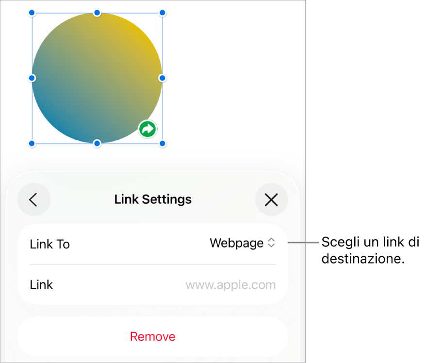 I controlli delle impostazioni dei link con la pagina web selezionata e con il pulsante per rimuovere il link mostrato in basso.
