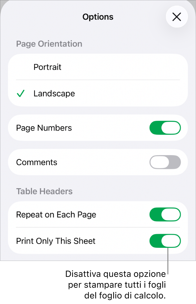 Opzioni di stampa per scegliere l’orientamento della pagina, visualizzare i numeri di pagina e le intestazioni, nonché scegliere le dimensioni della pagina e quali pagine stampare.