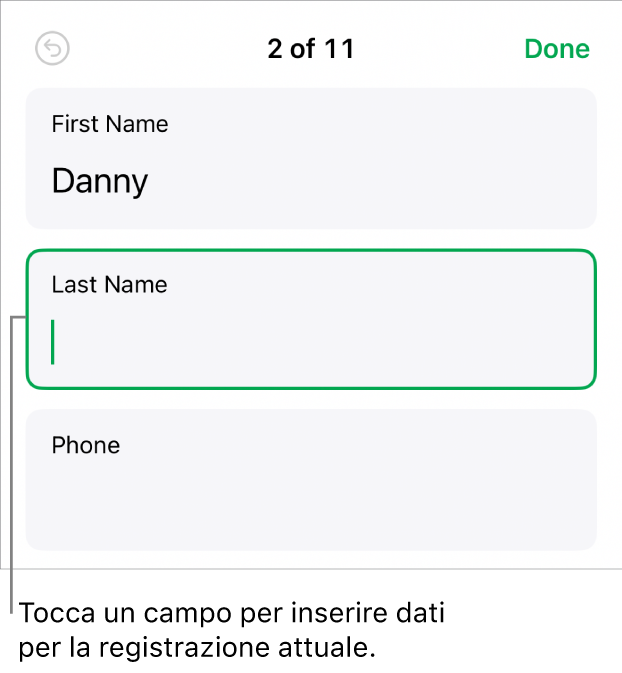 Una registrazione in un modulo che mostra un campo attivo con un punto di inserimento.