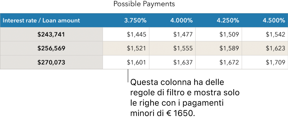 Tabella di un mutuo dopo l’applicazione del filtro per i tassi di interesse accessibili.