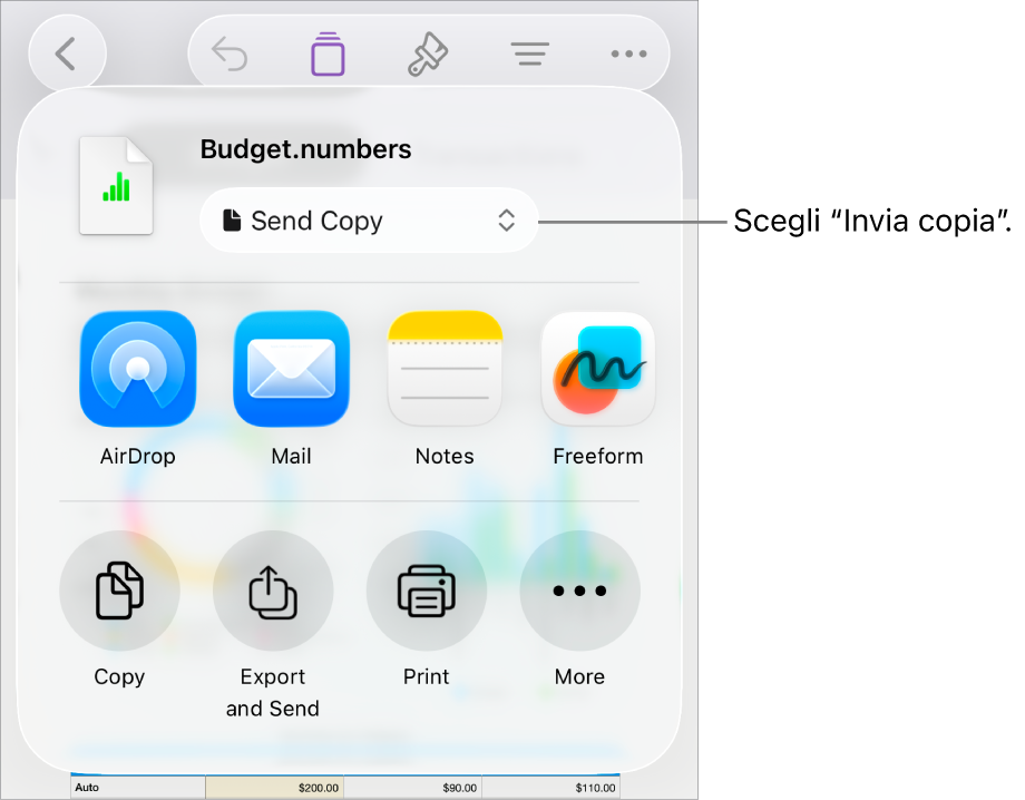 Il menu Condividi con l’opzione “Invia copia” selezionata in alto.