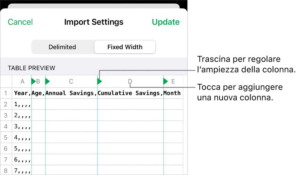 Impostazioni di importazione per un file di testo a larghezza fissa.
