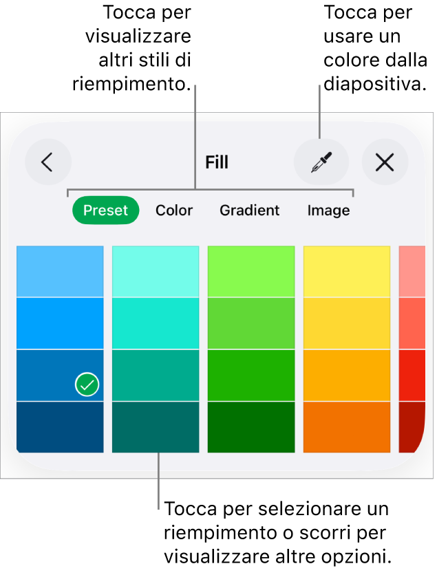 Opzioni di riempimento nel pannello Stile del pulsante Formato.
