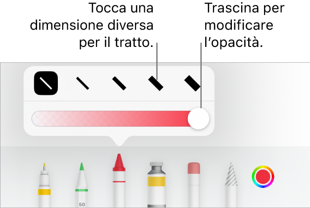 Controlli per scegliere una dimensione tratto e cursore per regolare l’opacità.