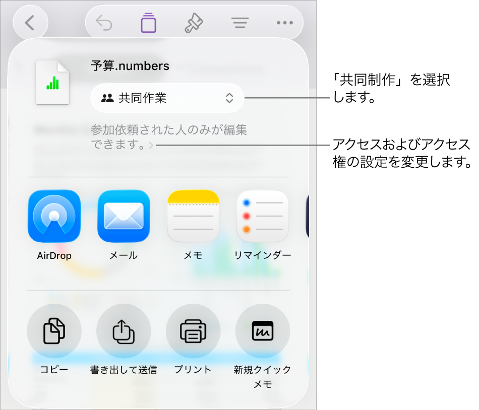 「共有」メニュー。上部の「共同作業」が選択されていて、下に参加対象とアクセス権の設定があります。
