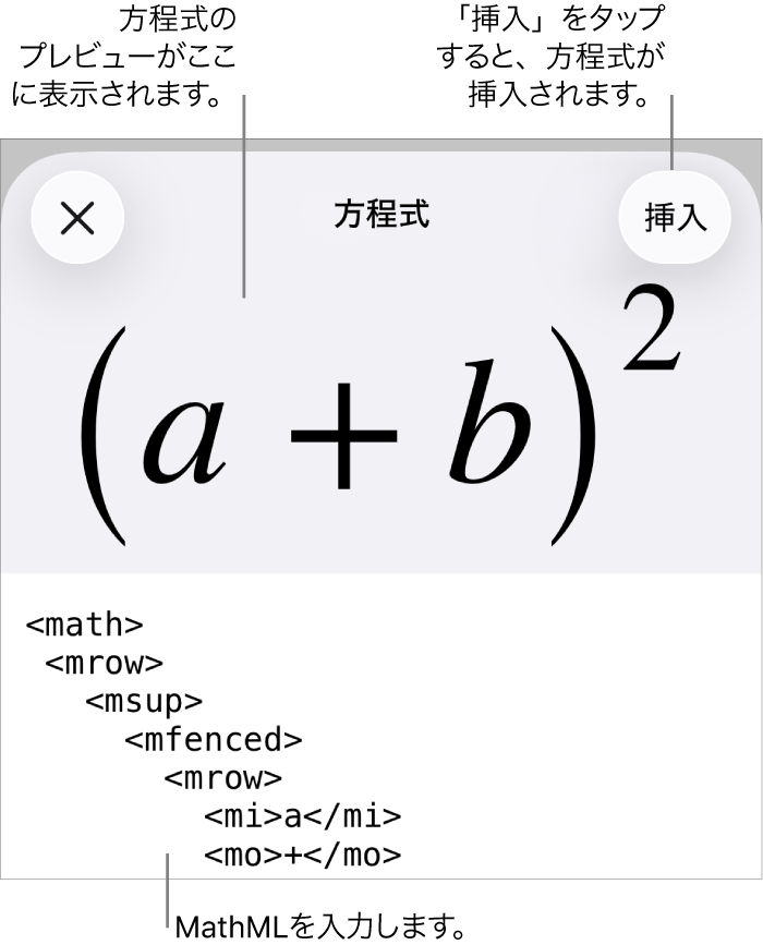 「方程式」ダイアログ。MathMLコマンドを使用して書き込まれた方程式が表示され、その上に公式のプレビューが表示されています。