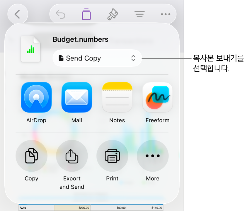 상단에 복사본 보내기가 선택되어 있는 공유 메뉴.
