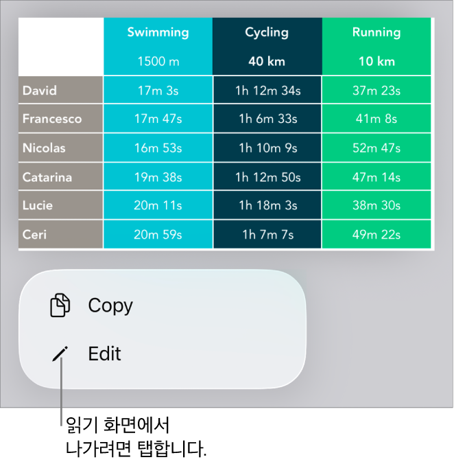 표가 선택되어 있고 그 아래에 복사하기 및 편집 버튼이 있는 메뉴가 있음.