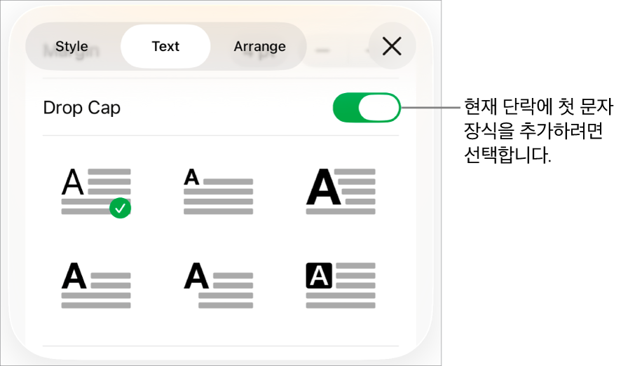 텍스트 메뉴에 위치한 ‘단락의 첫 문자 장식’ 제어기.