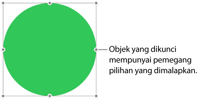 Objek yang dikunci dengan pemegang pilihan yang dimalapkan.