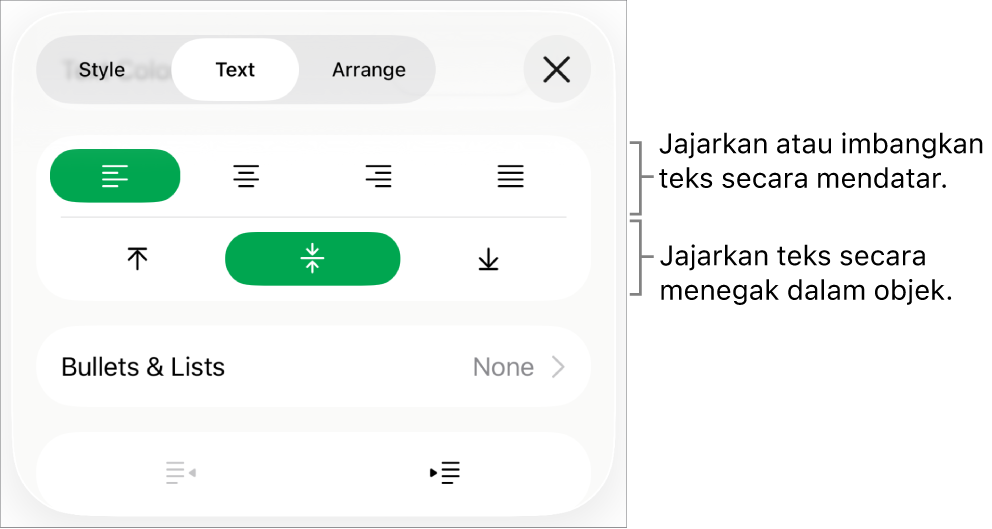 Bahagian Tataletak pada Pemeriksa Format dengan petak bual ke butang penjajaran dan jarak teks.