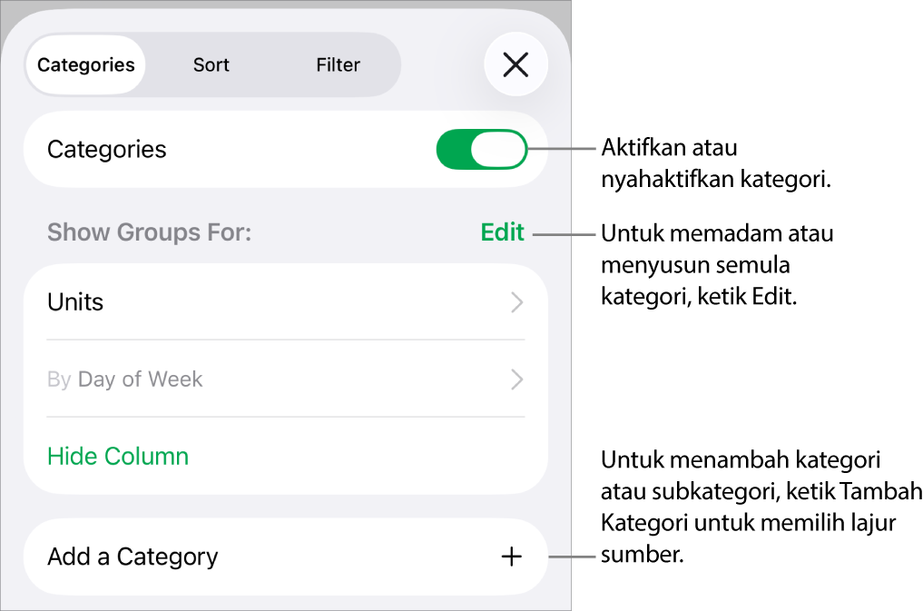 Menu Kategori untuk iPhone dengan pilihan untuk menyahaktifkan kategori, memadam kategori, mengumpul semula data, menyembunyikan lajur sumber dan menambah kategori.