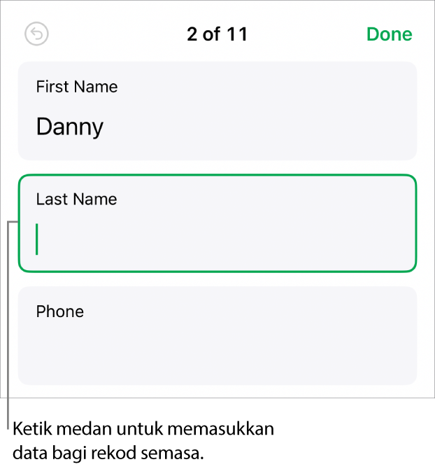 Rekod dalam borang menunjukkan medan aktif dengan titik sisipan.