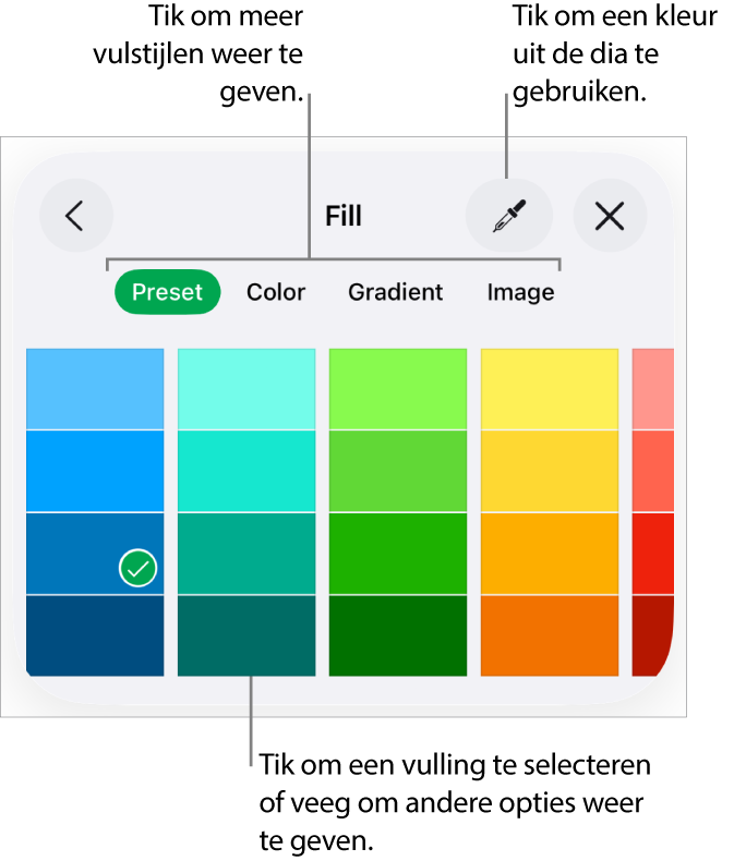 Vulopties in het tabblad 'Stijl' van de opmaakknop.