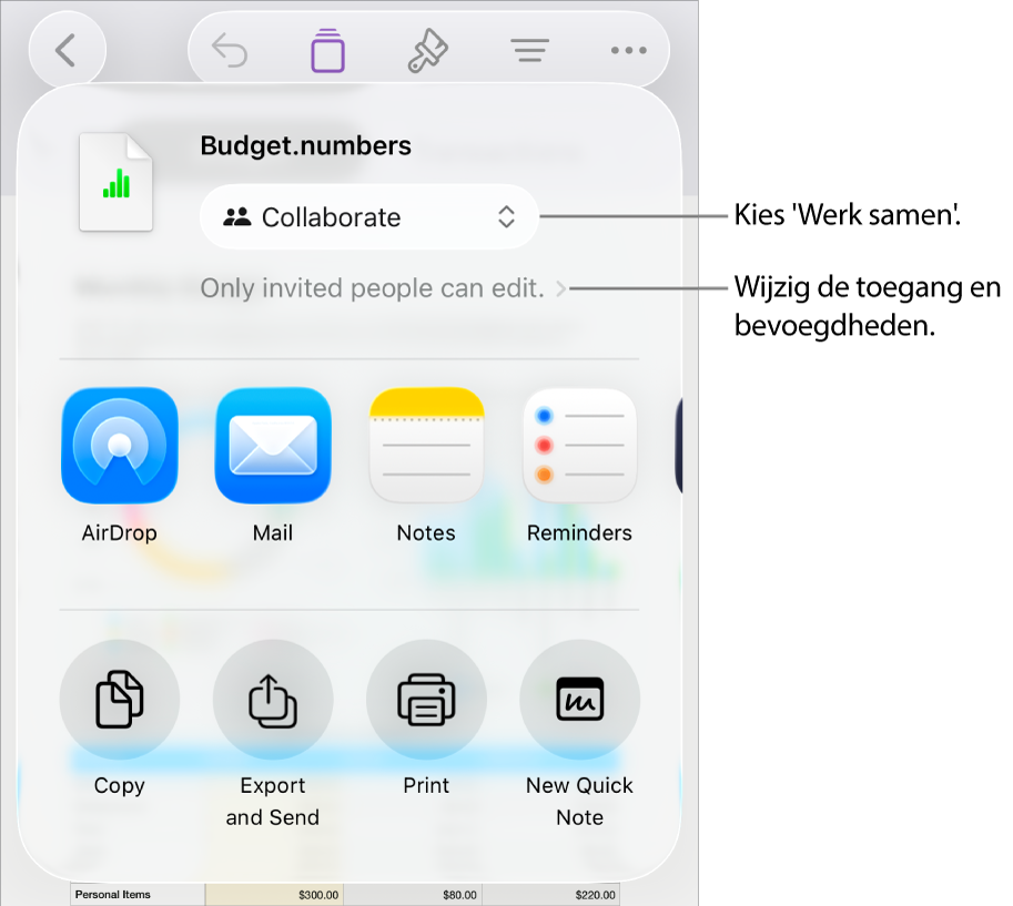 Het Deel-menu waarin bovenin 'Werk samen' is geselecteerd. Eronder staan toegangsinstellingen en bevoegdheden.
